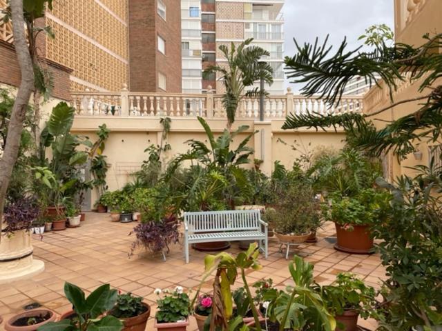 Precioso Apartamento A Estrenar En Primera Linea De Playa Benidorm Exterior foto